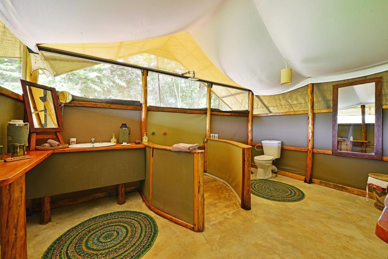 Ishasha Wilderness Camp