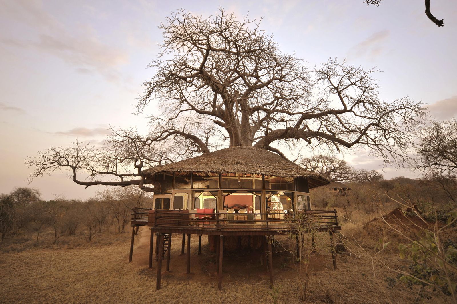 Tarangire Tree Tops