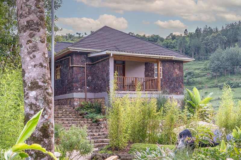 Gorilla Leisure Lodge