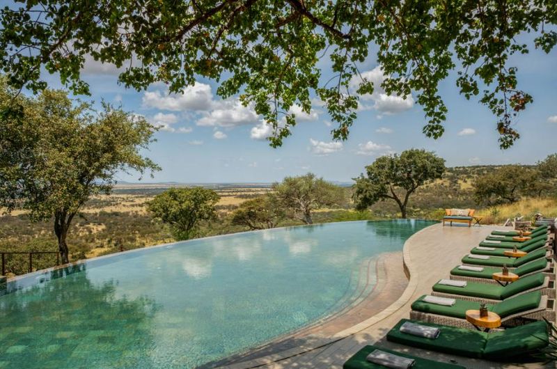 Melia Serengeti