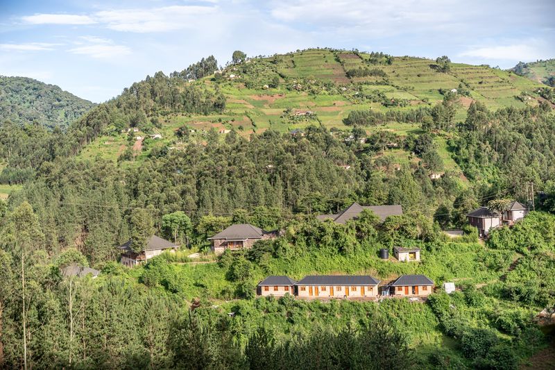 Gorilla Leisure Lodge
