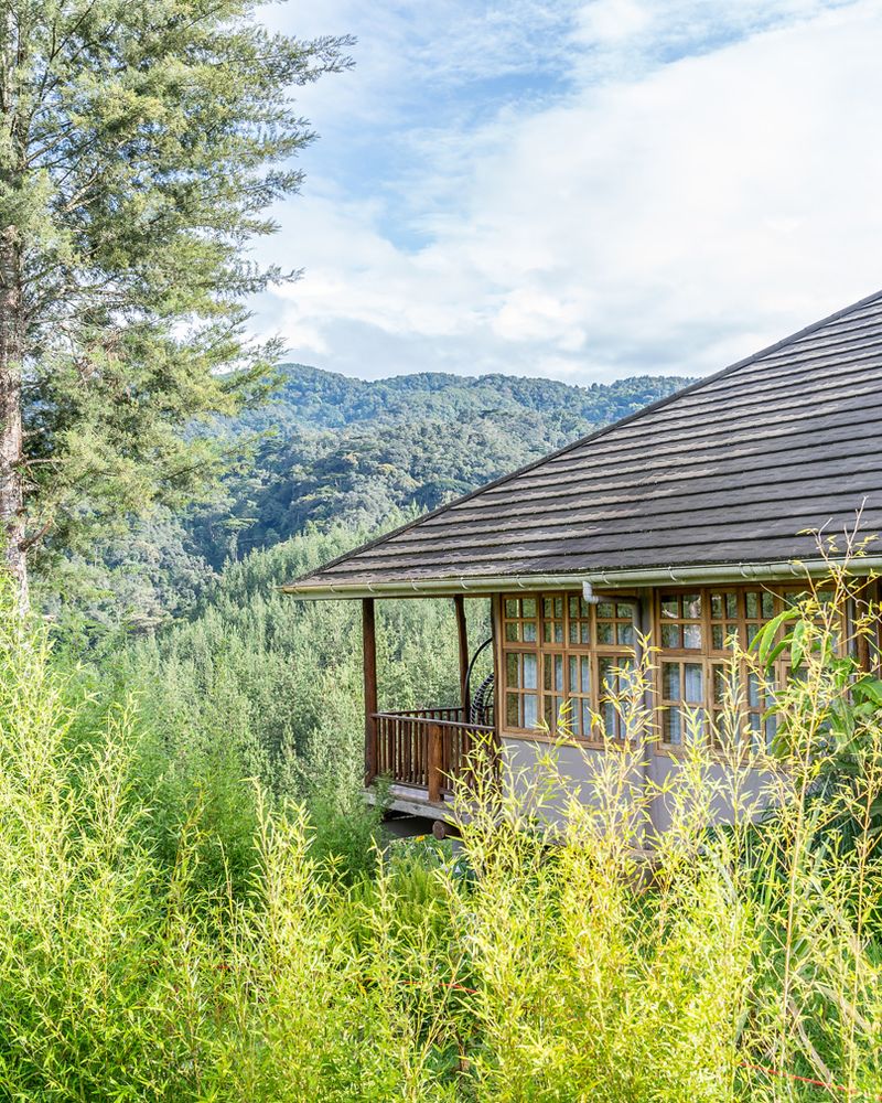 Gorilla Leisure Lodge