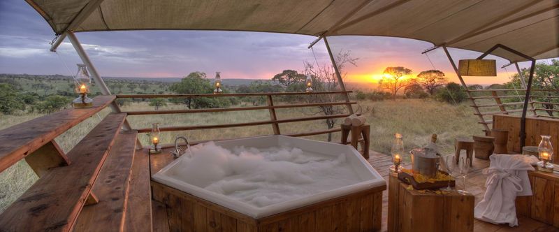 Serengeti Bush Tops Luxury Camp