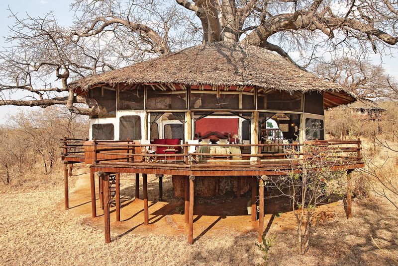 Tarangire Tree Tops