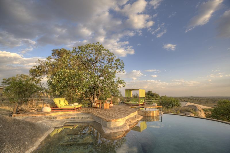Serengeti Bush Tops Luxury Camp