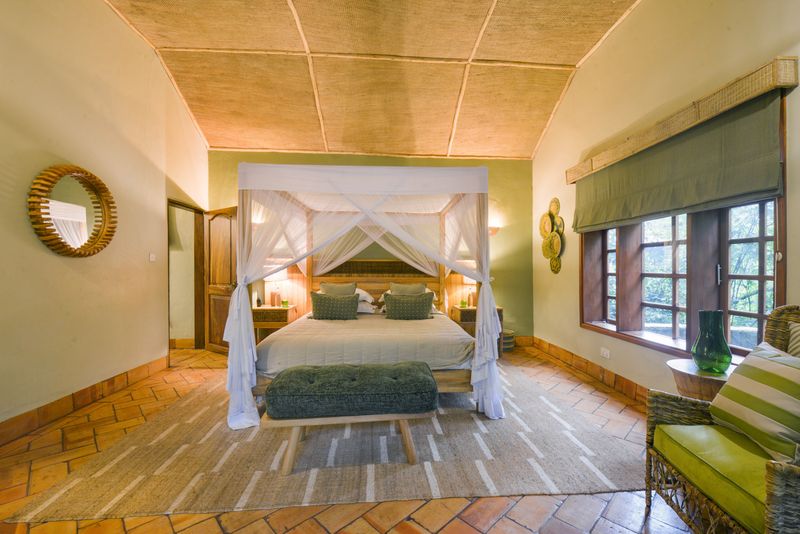 Primate Lodge