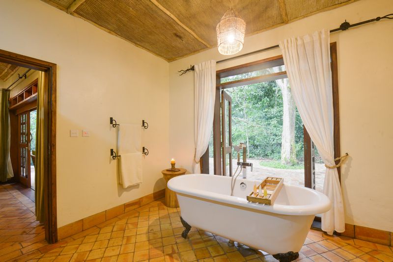 Primate Lodge