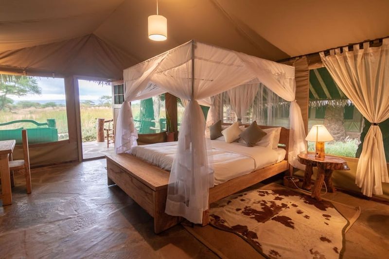 Kibo Safari Lodge