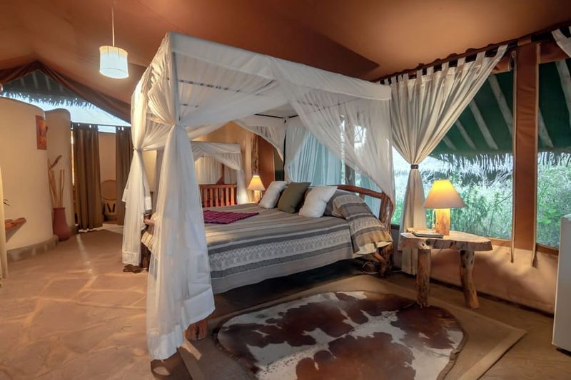 Kibo Safari Lodge