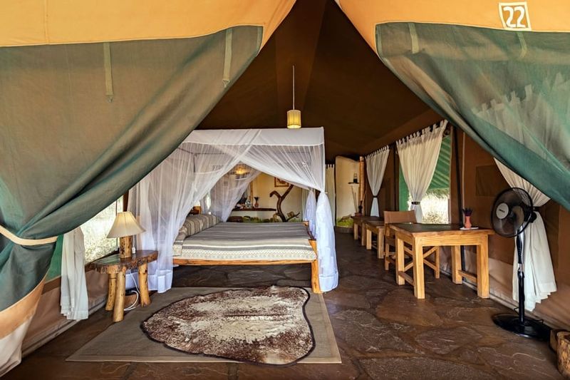 Kibo Safari Lodge