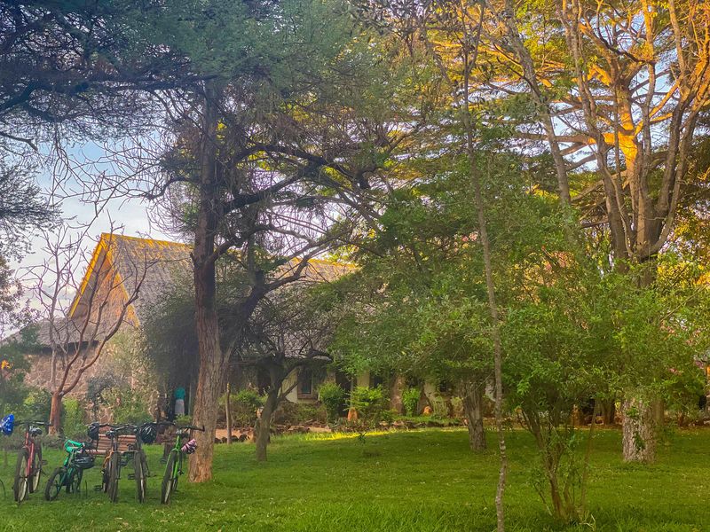 Kilaguni Serena Lodge