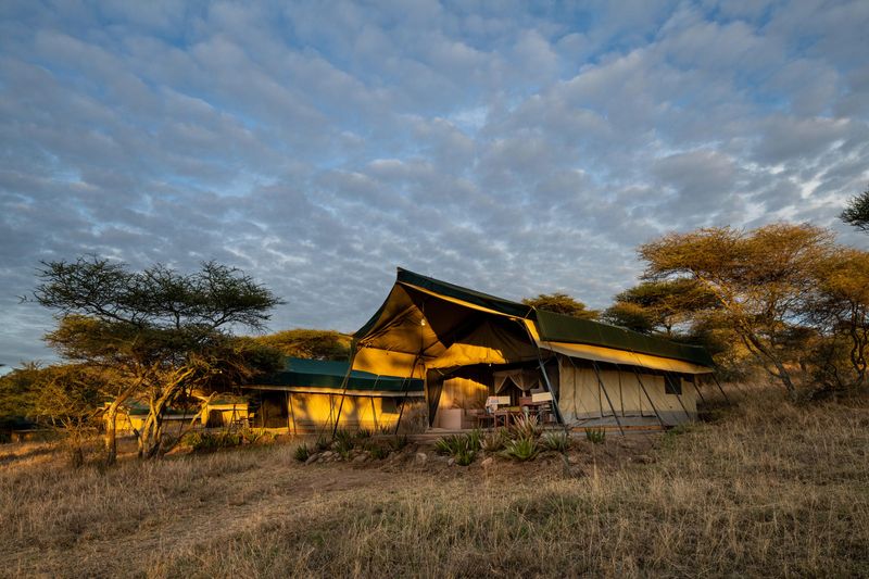 Serengeti Woodland Camp