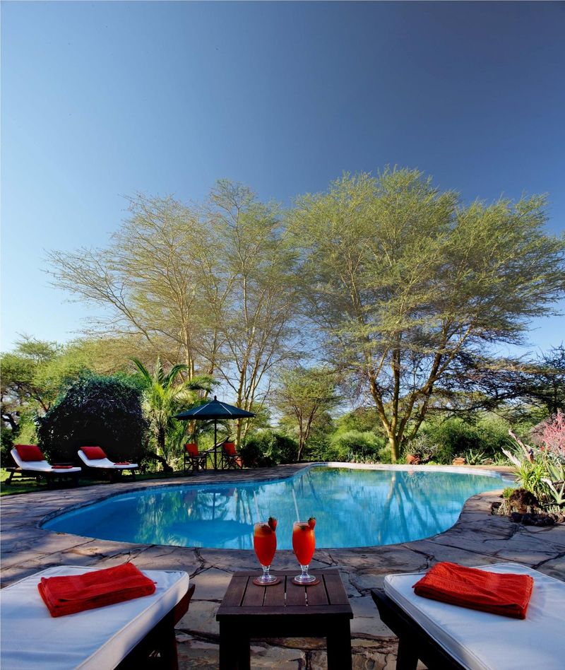 Elewani Tortilis Camp