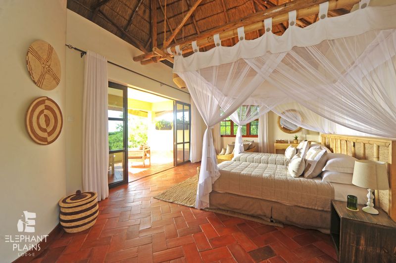 Elephant Plains Lodge