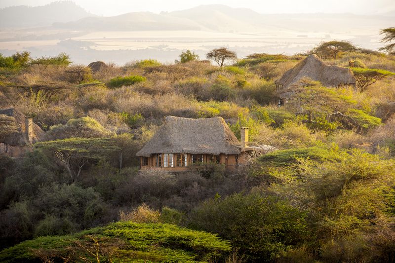 Lewa Wilderness