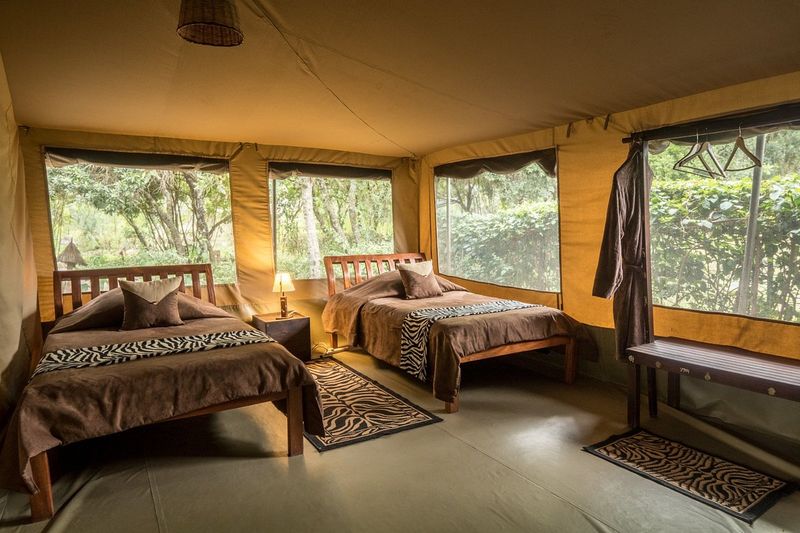 Rhino Watch Safari Lodge