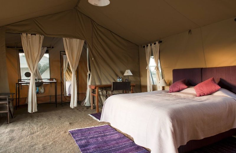 Ndutu Under Canvas