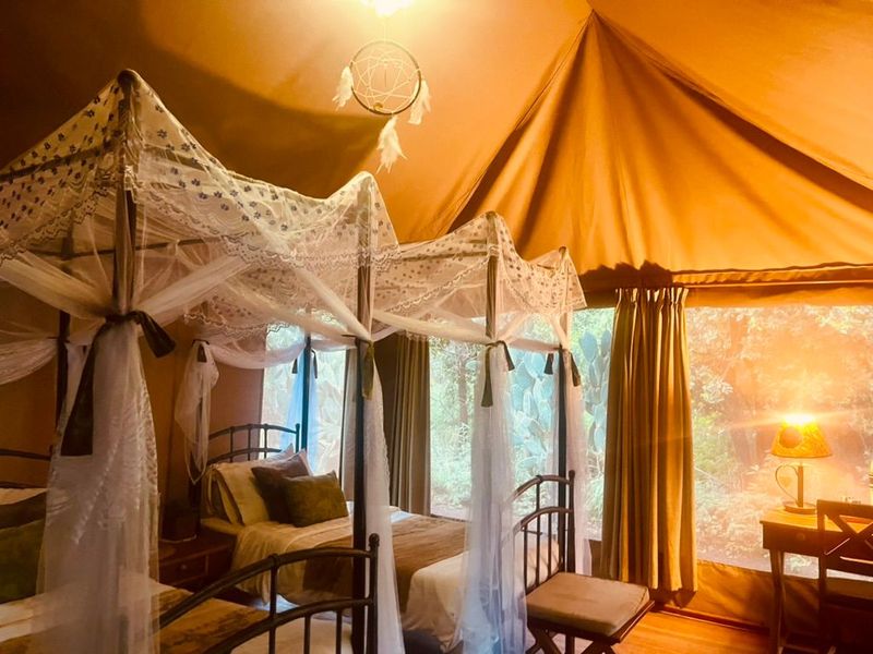 Ikweta Safari Camp