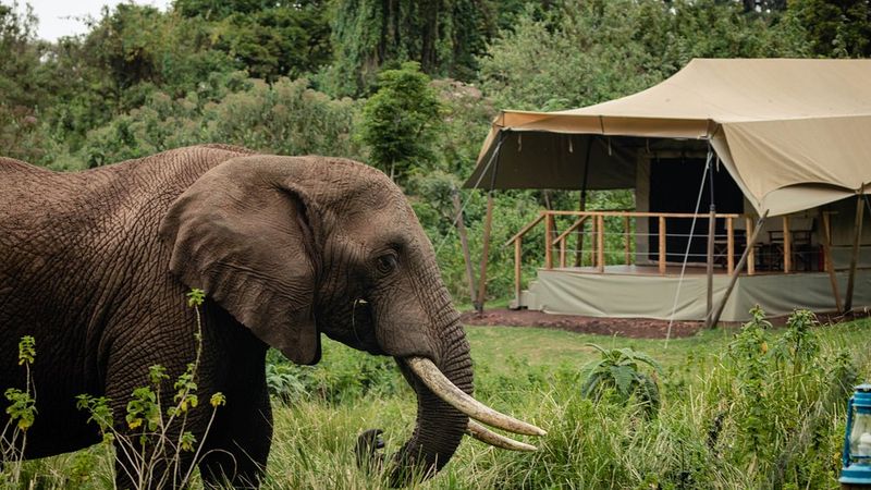 Angata Ngorongoro Camp