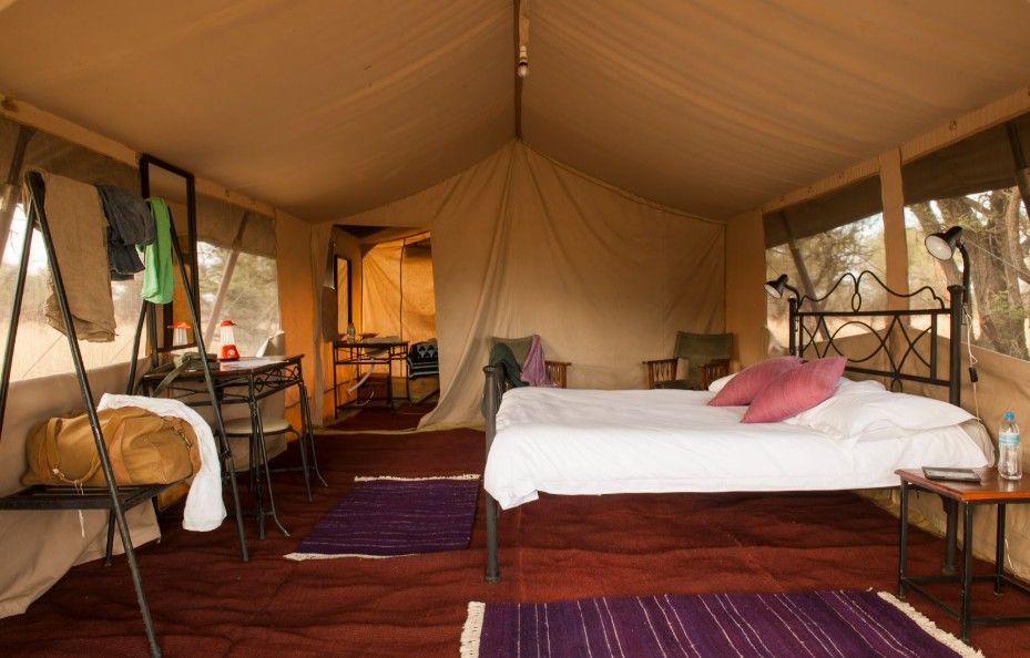 Ndutu Under Canvas
