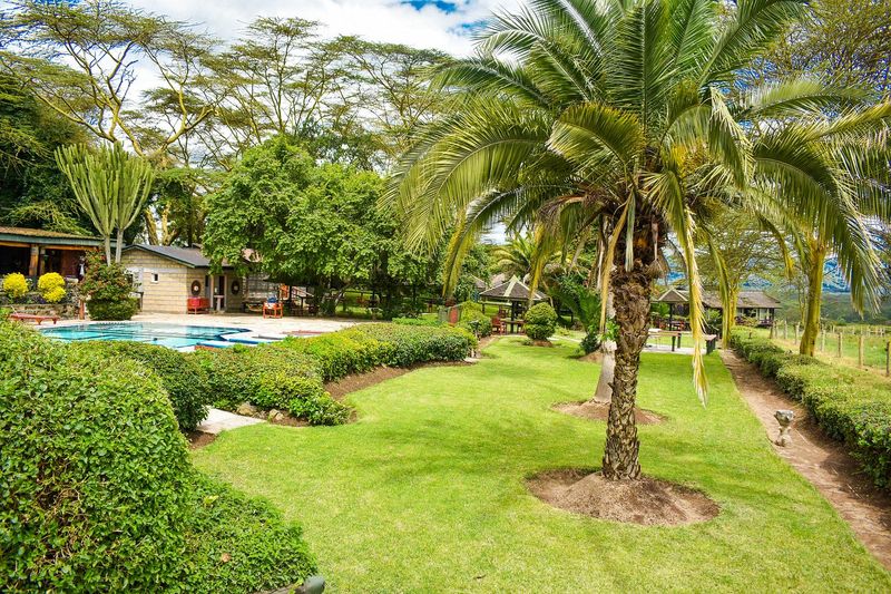 Lake Nakuru Lodge