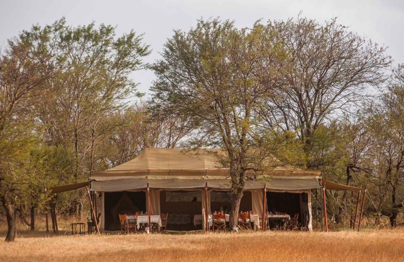 Ndutu Under Canvas