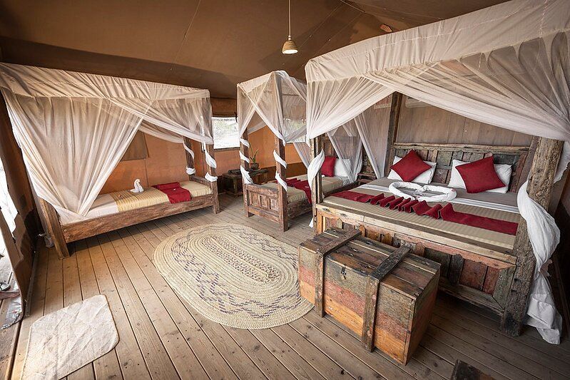 Africa Safari Lake Natron