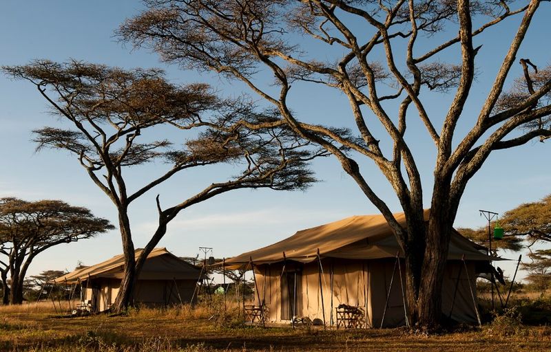 Ndutu Under Canvas