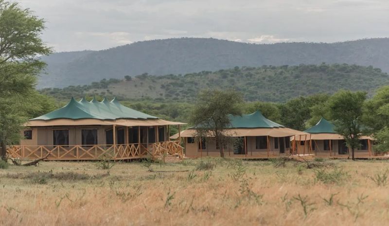 Serengeti Signature Luxury Camp