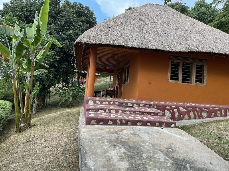 Chimpanzee Forest Guest House
