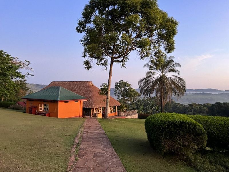Chimpanzee Forest Guest House