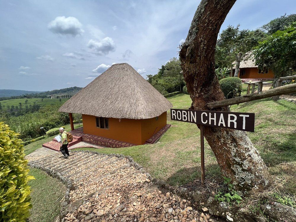 Chimpanzee Forest Guest House