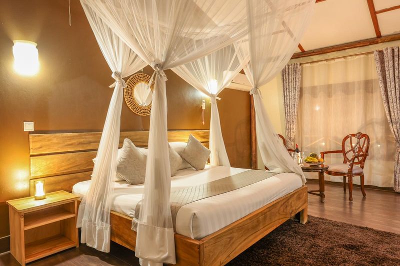 Pakuba Safari Lodge