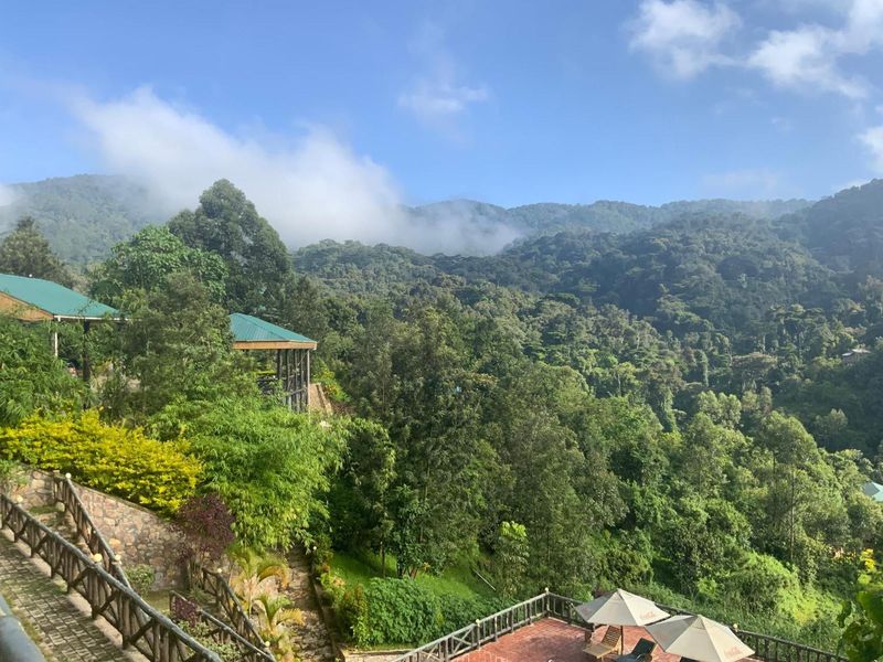 Rushaga Gorilla Lodge