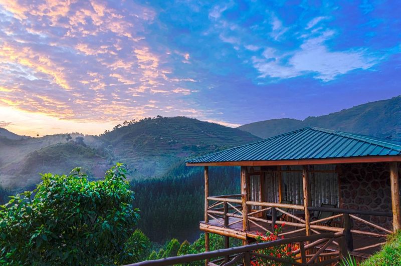 Rushaga Gorilla Lodge