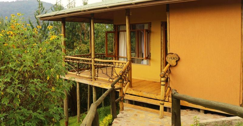 Ichumbi Gorilla Lodge