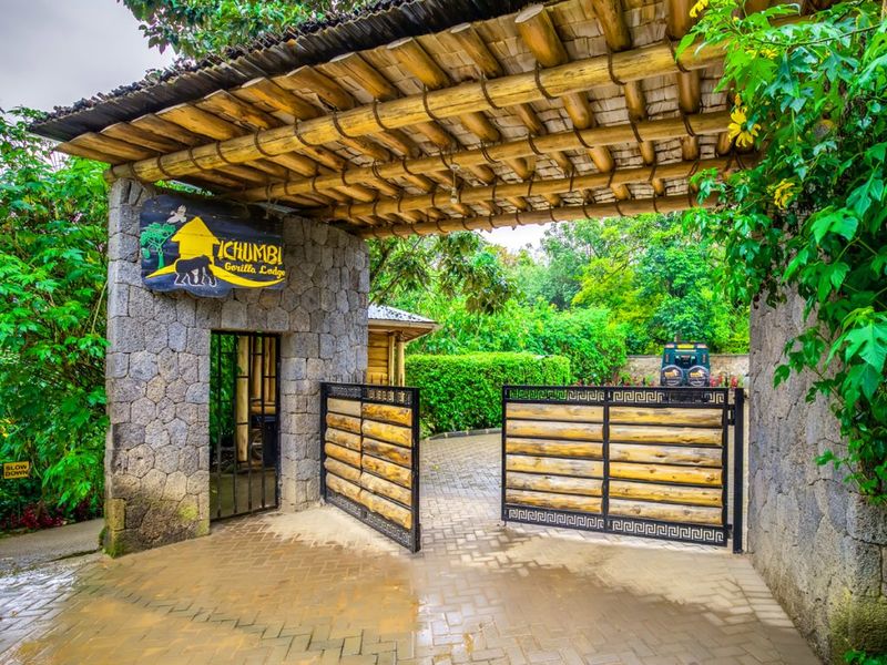 Ichumbi Gorilla Lodge
